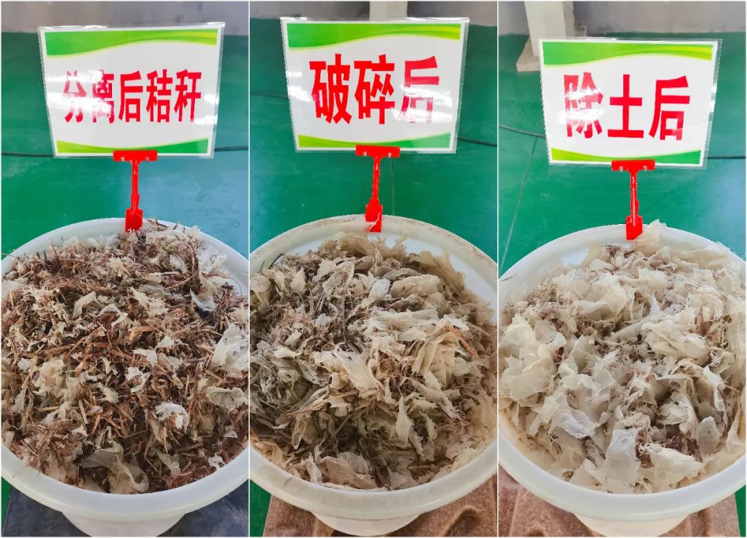 583ba0da5a36a73feeabcf9b70918c47 mg不朽情缘(中国)官方网站